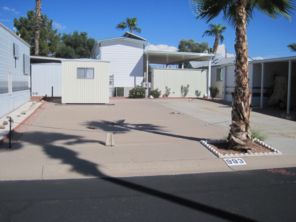 3710 S. Goldfield Rd., 993, Apache Junctiion, AZ 85119 