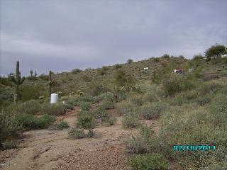 208 W Briles Rd., Phoenix, AZ 85085 