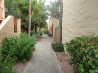 1351 E Ft. Lowell, Tucson, AZ 85719 