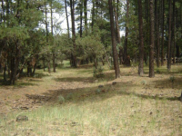 Lot 244 Tonto Village 3, Mesa, AZ 85021 