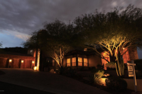 11431 N 13th Terrace, Phoenix, AZ 85020 