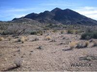 0000 Silver Springs, Kingman, AZ 86401 