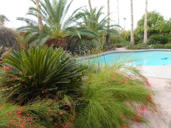 10450 N 26th Street, Phoenix, AZ 85028 