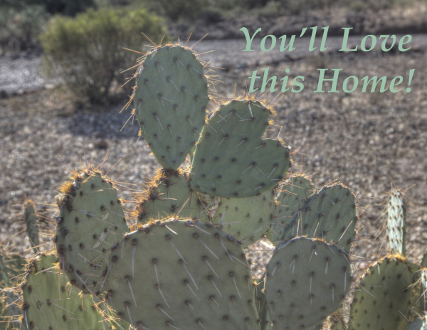 3840 W. Jenny Lin Rd., New River, AZ 85087 