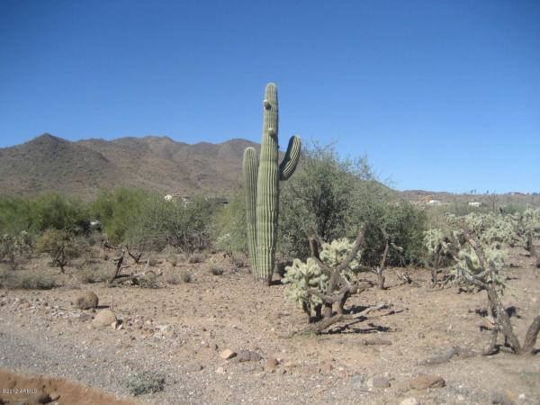 680 W Honda Bow Road, New River, AZ 85087 