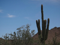 5825 W Quail Trail, Queen Creek, AZ 85142 