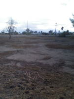 725 E 8th Street, Florence, AZ 85232 