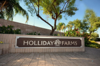 3891 E Page Avenue, Gilbert, AZ 85234 