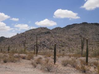 10321 N. Reggage Rd., Maricopa, AZ 85239 