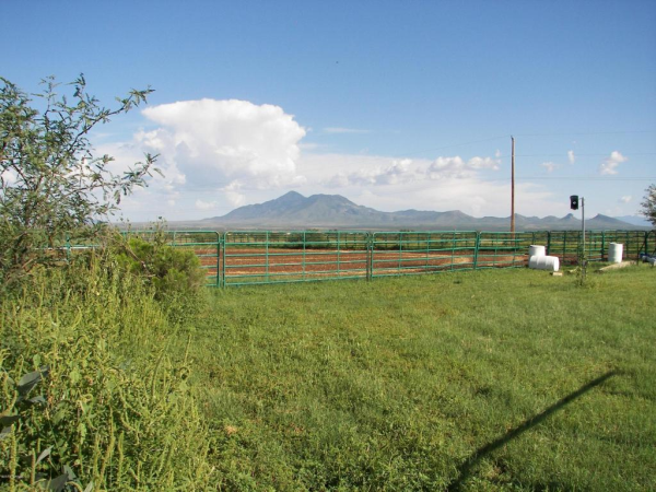 9595 S Kings Ranch, Hereford, AZ 85615 