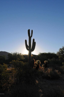 22404 N Church Road, Scottsdale, AZ 85255 