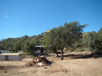 560 N Cedar Ridge, Oracle, AZ 85623 