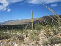 4140 N Larkspur, Tucson, AZ 85749 