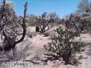 3910 W Oasis, Tucson, AZ 85742 