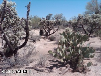 3910 W Oasis, Tucson, AZ 85742 