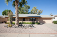 12010 S Tomi Drive, Phoenix, AZ 85044 