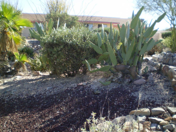 17052 E Cascade Drive, Fountain Hills, AZ 85268 
