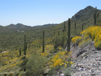 4880 E Lone Mountain Road, Cave Creek, AZ 85331 