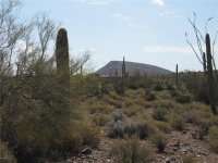 39900 N 80th H Street, Cave Creek, AZ 85331 