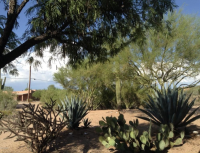 6445 E Wildcat Drive, Cave Creek, AZ 85331 