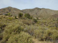 11300 E Blue Wash Rd 77, Cave Creek, AZ 85331 