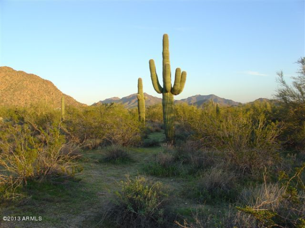 377XX N Linda Dr, Cave Creek, AZ 85331 