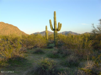 377XX N Linda Dr, Cave Creek, AZ 85331 