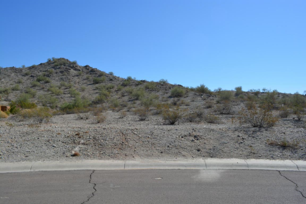 11495 S San Roberto Drive, Goodyear, AZ 85338 