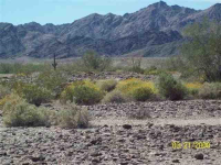 Lots 54 thru 78, Sec 24; Township 9S EXCLUDING Lot, Wellton, AZ 85356 