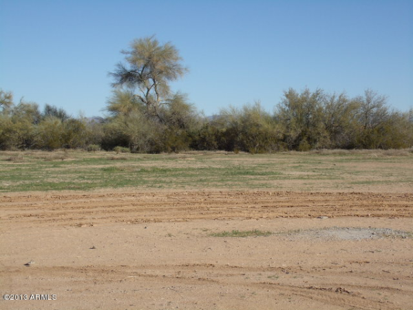 206xx W Saguaro Dr, Wittmann, AZ 85361 