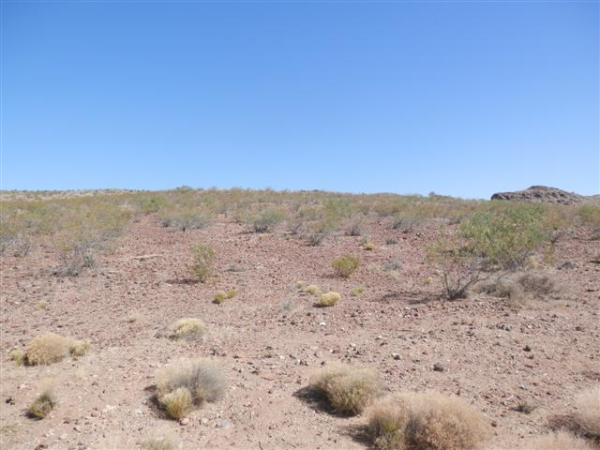 30245 N Haystack Dr, Meadview, AZ 86444 