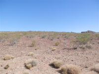 30245 N Haystack Dr, Meadview, AZ 86444 