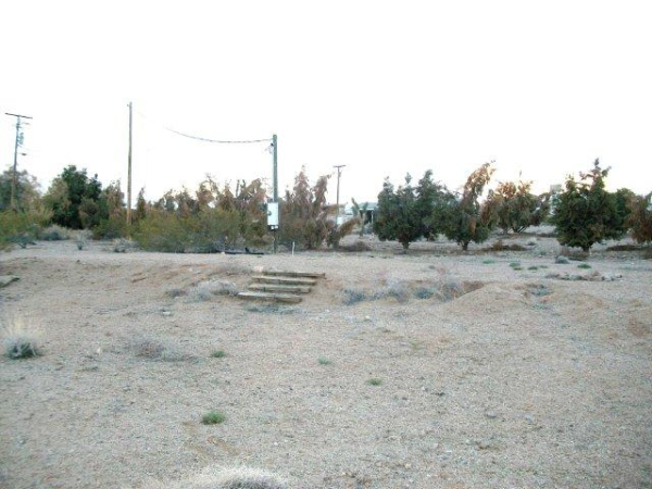 30135 N SURF COVE, Meadview, AZ 86444 