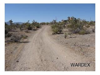 1540 WISHING WELLLT 596, Meadview, AZ 86444 