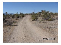 1540 WISHING WELLLT 596, Meadview, AZ 86444 