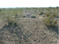 000 Dorothy Road, Yucca, AZ 86438 