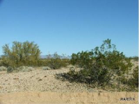 000 S Dorothy Road, Yucca, AZ 86438 