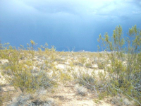 0000 Crystal Springs Dr., Yucca, AZ 86438 