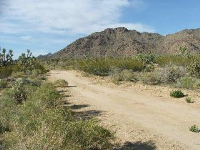 0000 Kinnard Road, Yucca, AZ 86438 