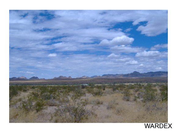 16203 S Faye Ave, Yucca, AZ 86438 