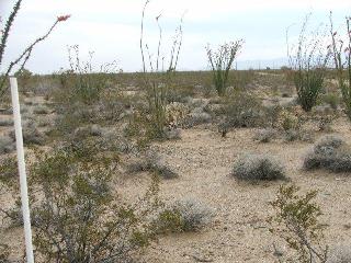 Lot 3037 Carmen Road, Yucca, AZ 86438 