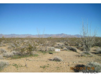 0000 Cameron Rd, Yucca, AZ 86438 