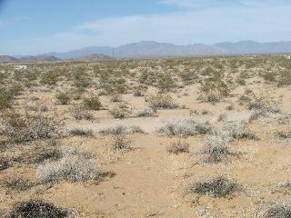 16235 S Shep Lane, Yucca, AZ 86438 