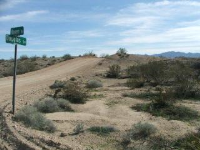 16775 S Douglas Ln, Yucca, AZ 86438 