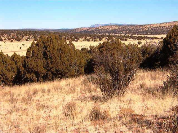 3 Kiva Rd, Peach Springs, AZ 86434 