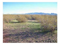 ELFRIDA LTS 12,13, Golden Valley, AZ 86413 