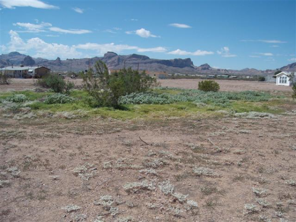 1411 S CORDES RD, Golden Valley, AZ 86413 