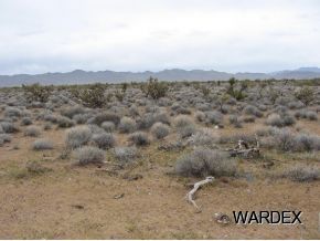 COWLIC LT 10, Golden Valley, AZ 86413 