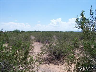 1 17775 W El Tiro, Marana, AZ 85653 