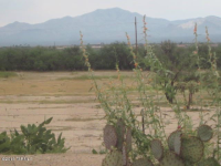 343 E Paseo Verde, Green Valley, AZ 85614 